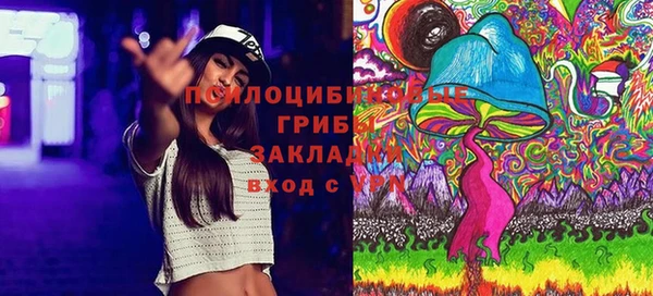 ПСИЛОЦИБИНОВЫЕ ГРИБЫ Аркадак
