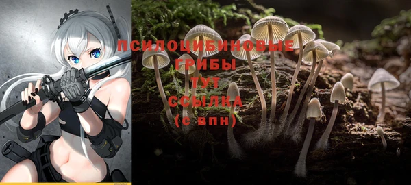 гидропоника Арсеньев