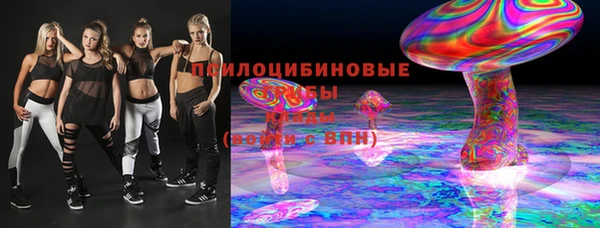 ПСИЛОЦИБИНОВЫЕ ГРИБЫ Аркадак