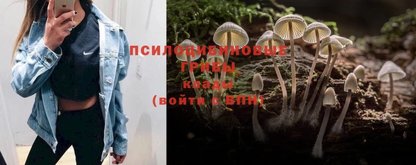 ПСИЛОЦИБИНОВЫЕ ГРИБЫ Аркадак
