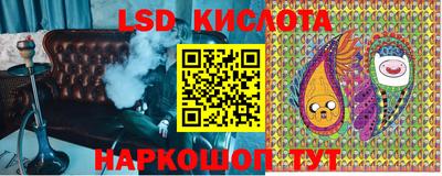 стаф Обь