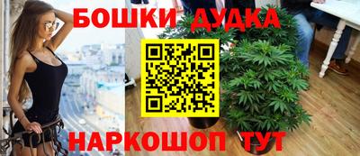 стаф Обь